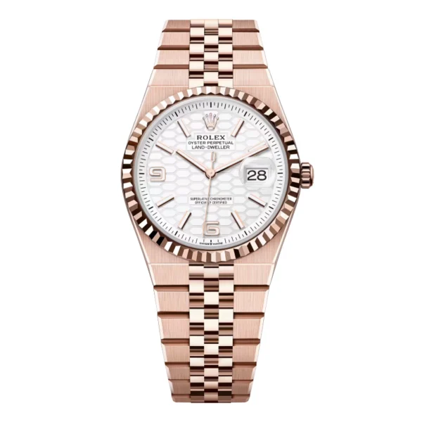 Rolex Land-Dweller 36 mm Everose gold (2025)
